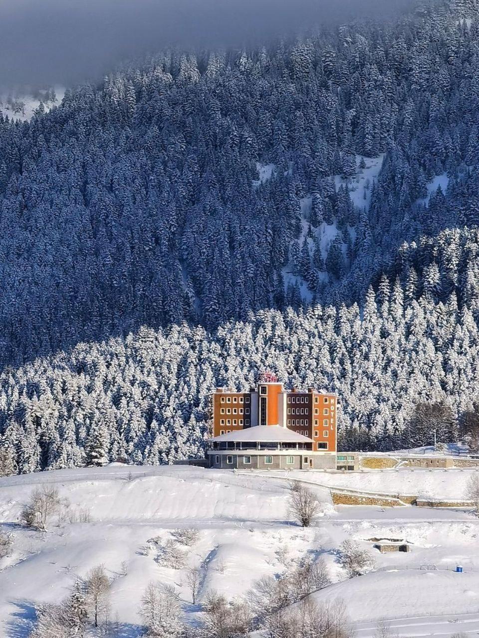 Black Forest Hotel Savsat Zewnętrze zdjęcie