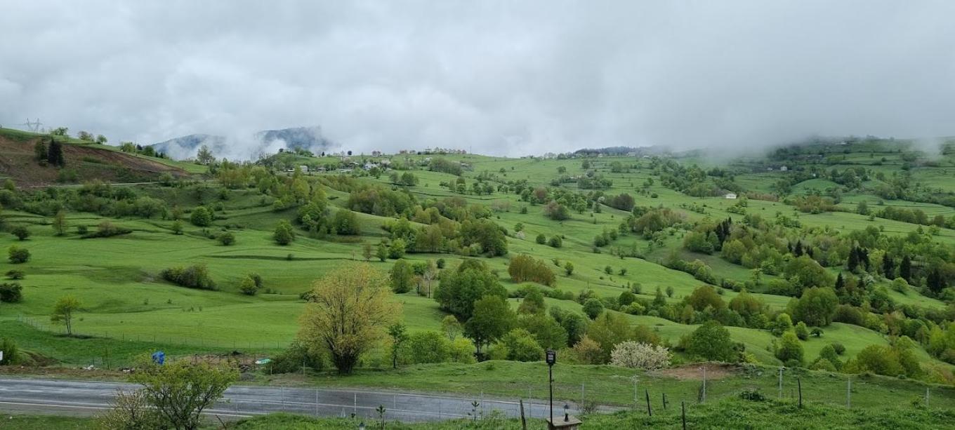 Black Forest Hotel Savsat Zewnętrze zdjęcie