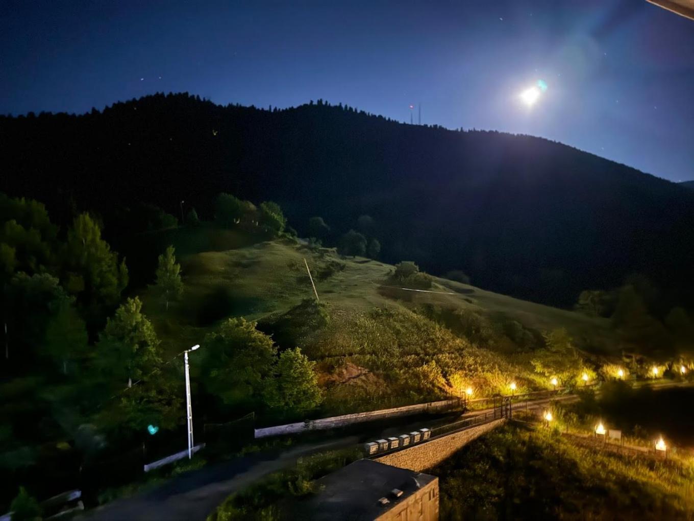 Black Forest Hotel Savsat Zewnętrze zdjęcie