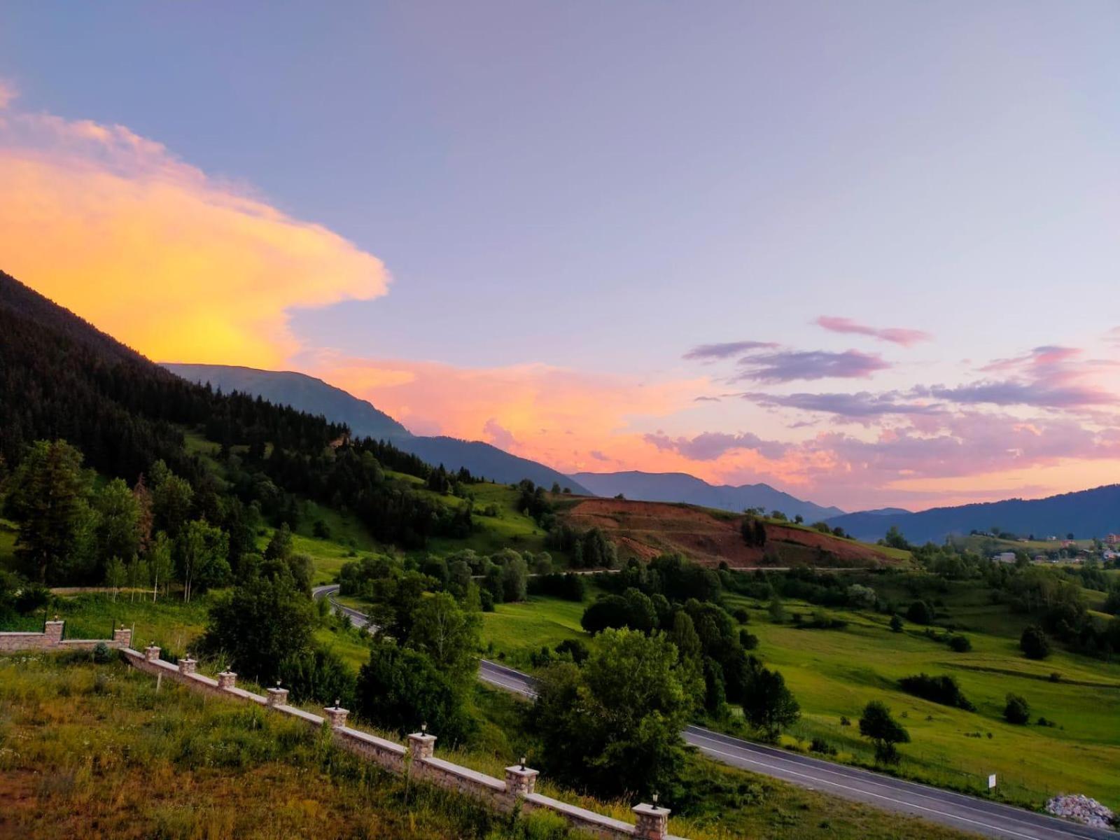 Black Forest Hotel Savsat Zewnętrze zdjęcie